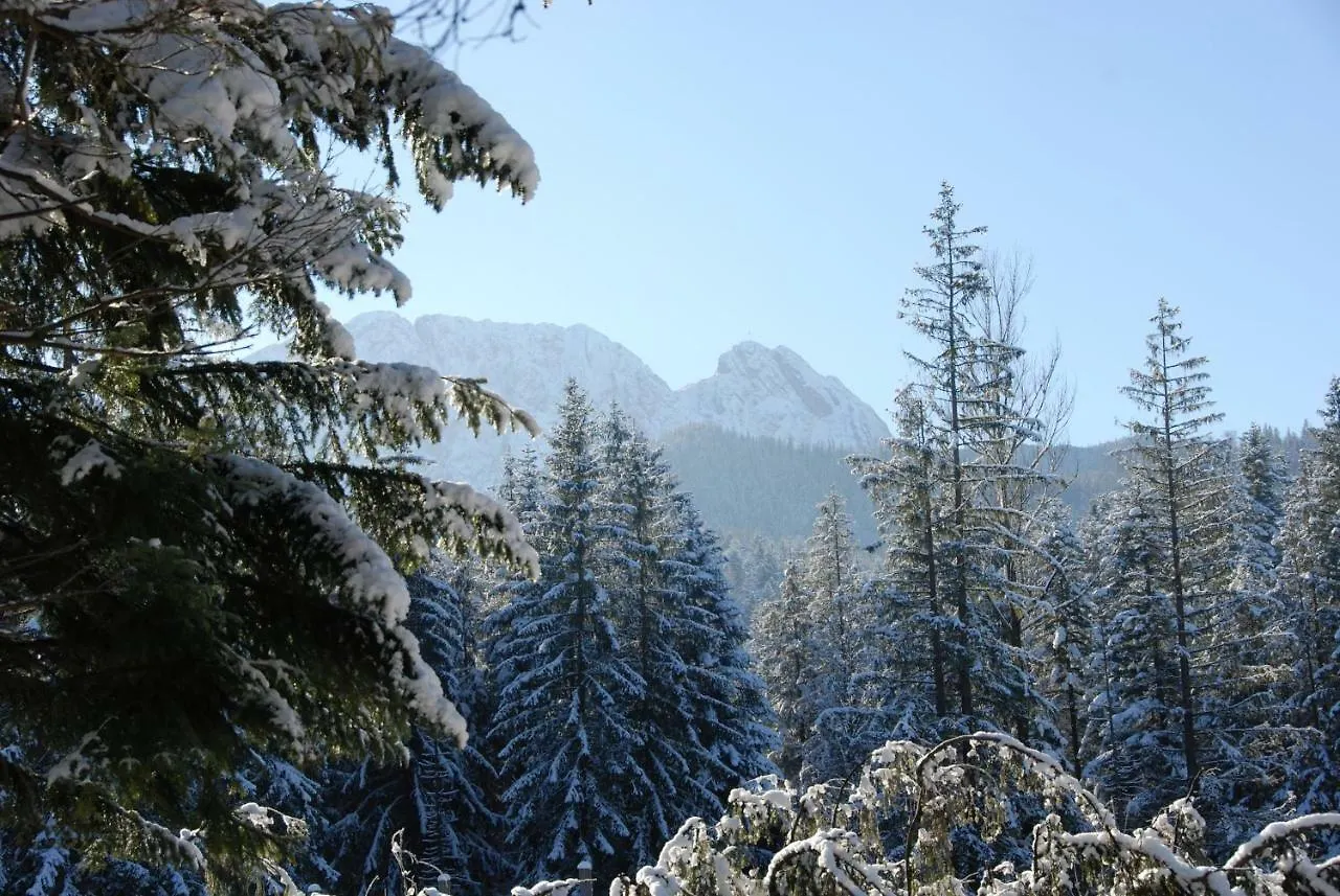 Bed and breakfast Zespół Dolina Białego - Willa Pan Tadeusz Zakopane
